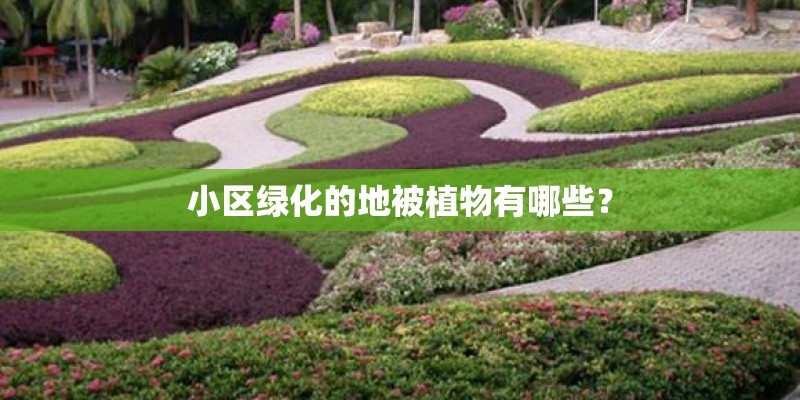 小区绿化的地被植物有哪些？