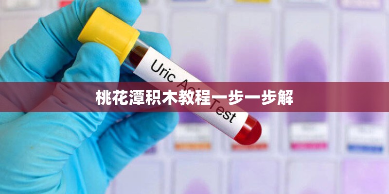 桃花潭积木教程一步一步解 桃花潭积木教程一步一步解