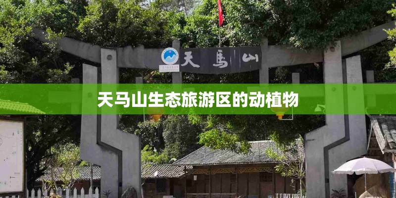 天马山生态旅游区的动植物 天马山生态旅游区的动植物