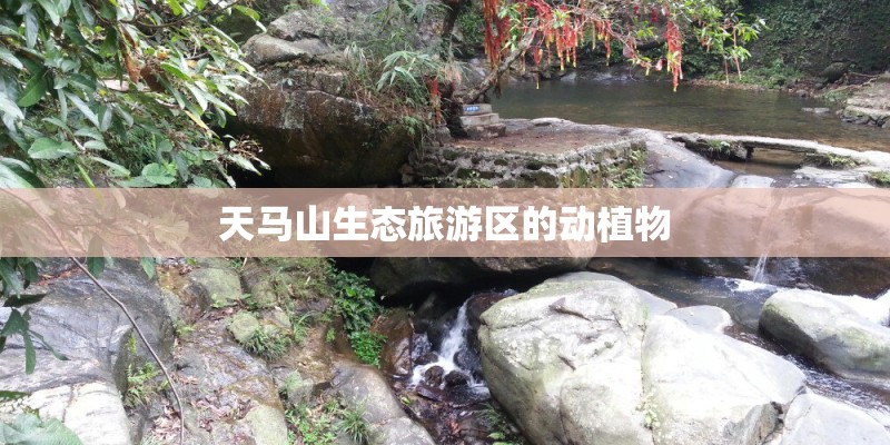 天马山生态旅游区的动植物 天马山生态旅游区的动植物