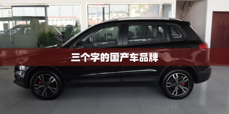 三个字的国产车品牌