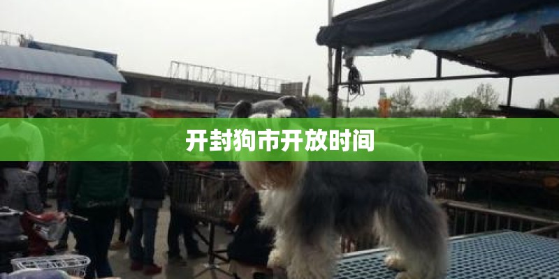 开封狗市开放时间