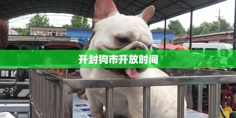 开封狗市开放时间