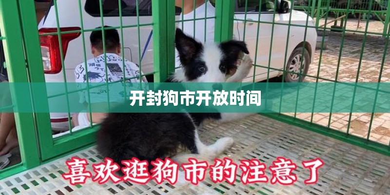 开封狗市开放时间
