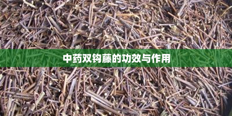2023烟台春天哪里去看花 烟台春季赏花的地方 2023烟台春天哪里去看花 烟台春季赏花的地方