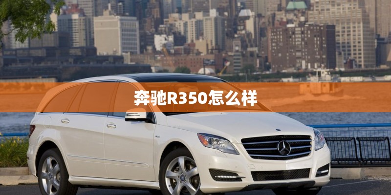 奔驰R350怎么样