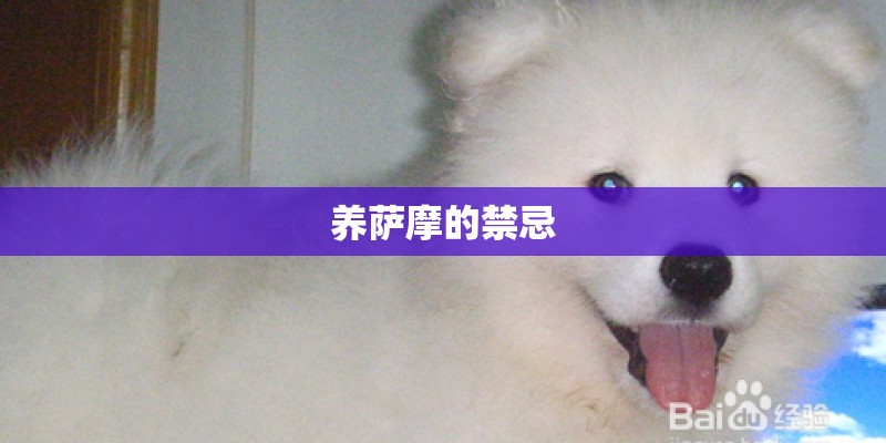 养萨摩的禁忌