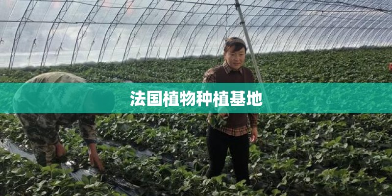 法国植物种植基地