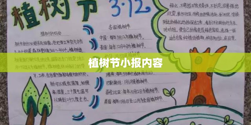 植树节小报内容