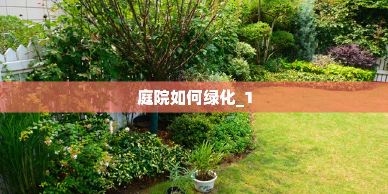 庭院如何绿化_1