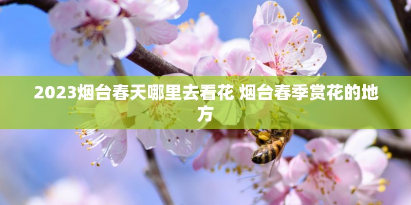 2023烟台春天哪里去看花 烟台春季赏花的地方 2023烟台春天哪里去看花 烟台春季赏花的地方