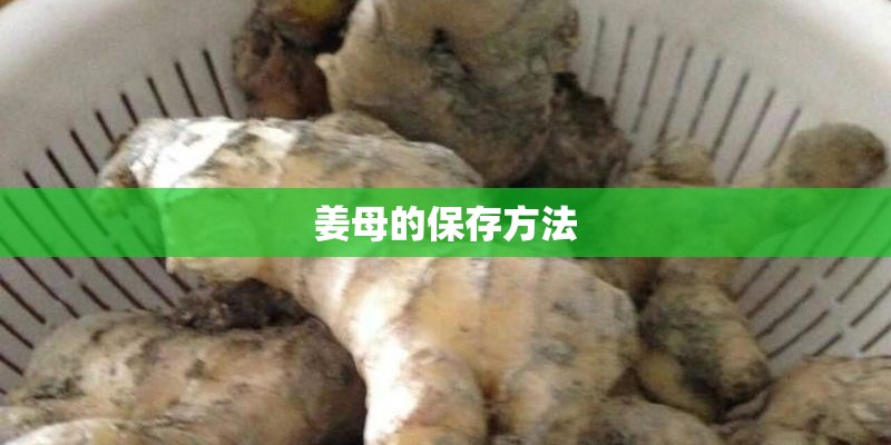 姜母的保存方法 姜母的保存方法
