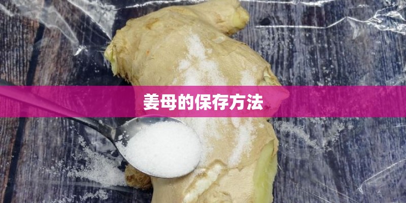 姜母的保存方法 姜母的保存方法