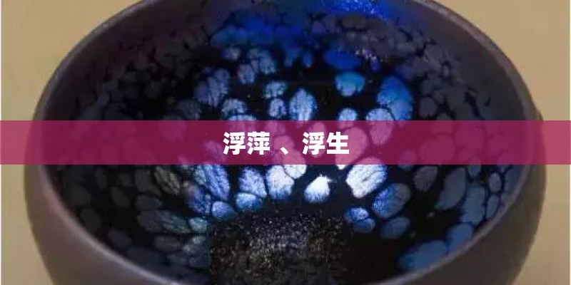 浮萍 、浮生