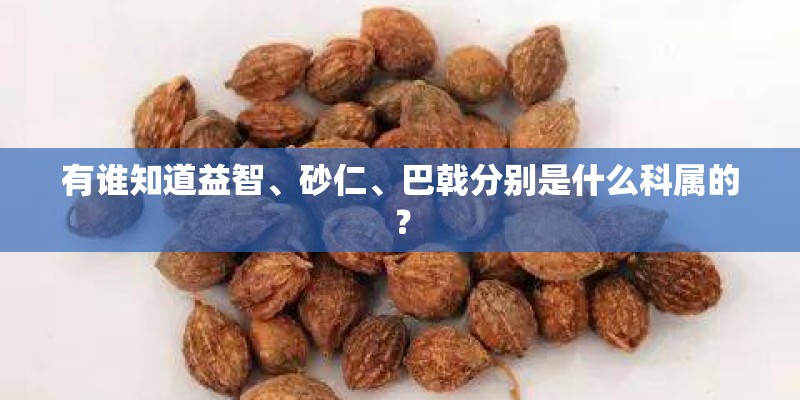 有谁知道益智、砂仁、巴戟分别是什么科属的? 有谁知道益智、砂仁、巴戟分别是什么科属的?