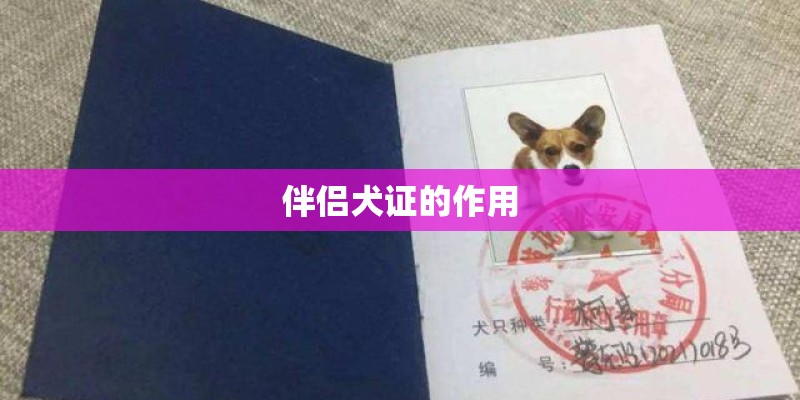 伴侣犬证的作用