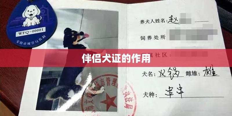 伴侣犬证的作用 伴侣犬证的作用