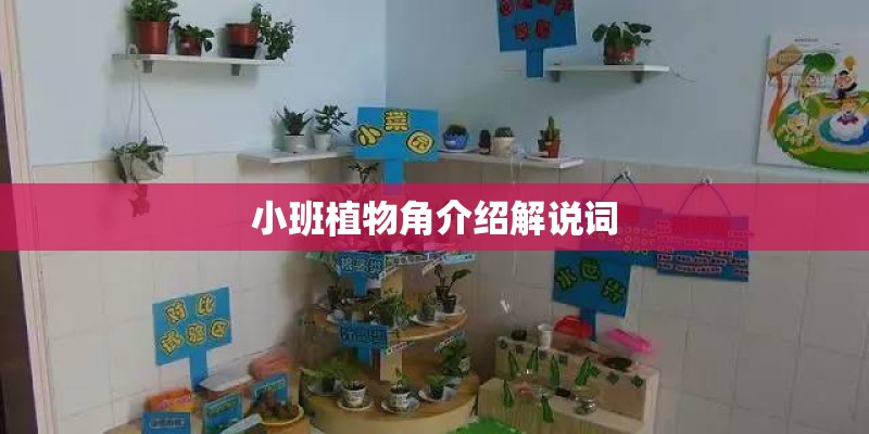 小班植物角介绍解说词 小班植物角介绍解说词