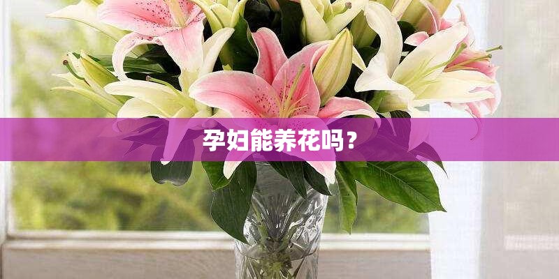 孕妇能养花吗？
