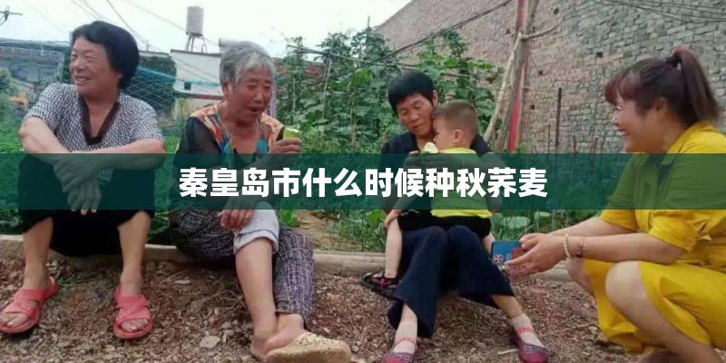 秦皇岛市什么时候种秋荞麦 秦皇岛市什么时候种秋荞麦
