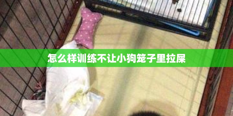 怎么样训练不让小狗笼子里拉屎