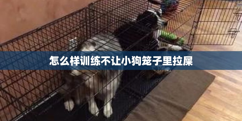 怎么样训练不让小狗笼子里拉屎