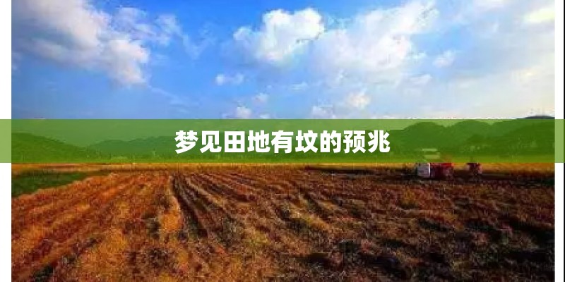 梦见田地有坟的预兆