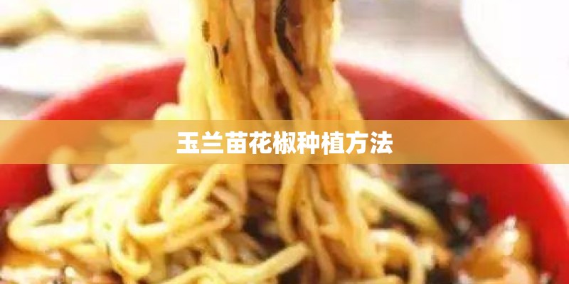 玉兰苗花椒种植方法