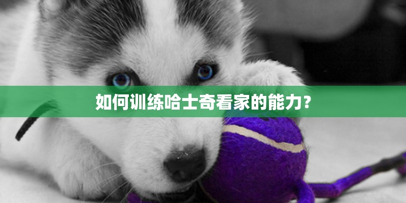 如何训练哈士奇看家的能力？