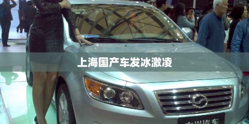上海国产车发冰激凌