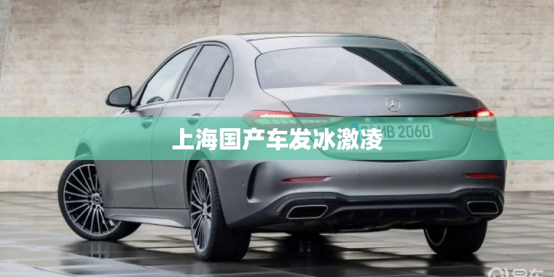 上海国产车发冰激凌