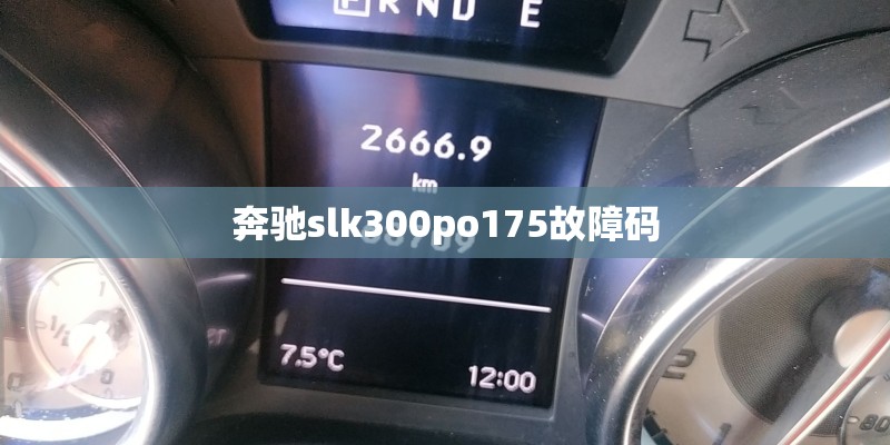 奔驰slk300po175故障码