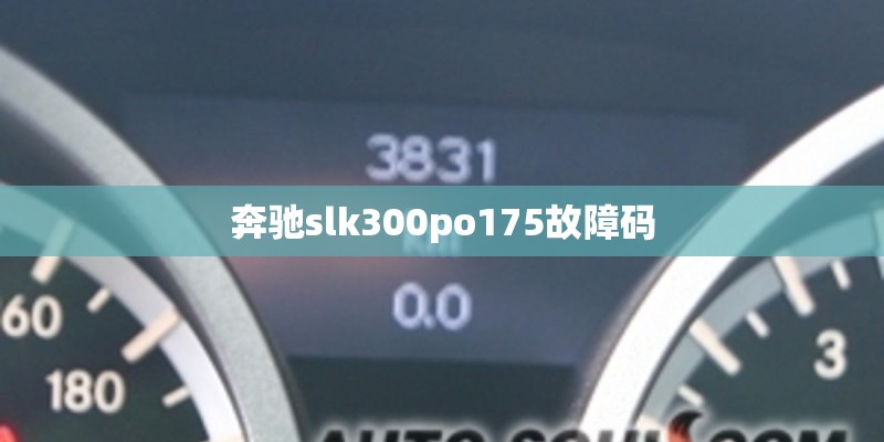 奔驰slk300po175故障码