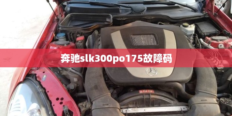 奔驰slk300po175故障码