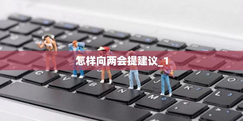 怎样向两会提建议_1