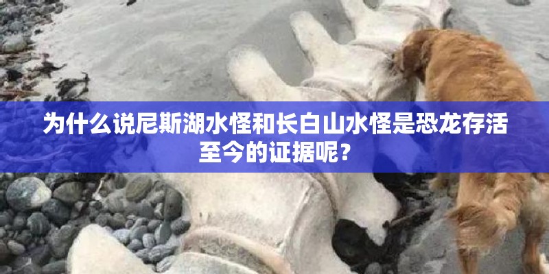 为什么说尼斯湖水怪和长白山水怪是恐龙存活至今的证据呢? 为什么说尼斯湖水怪和长白山水怪是恐龙存活至今的证据呢?