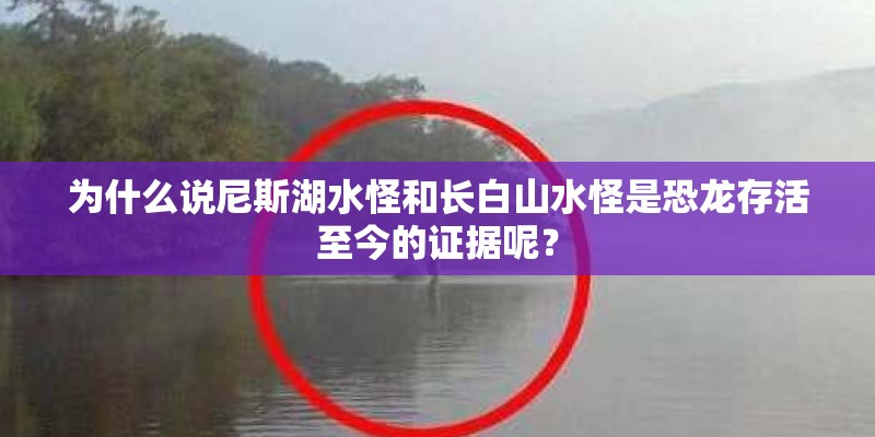 为什么说尼斯湖水怪和长白山水怪是恐龙存活至今的证据呢? 为什么说尼斯湖水怪和长白山水怪是恐龙存活至今的证据呢?
