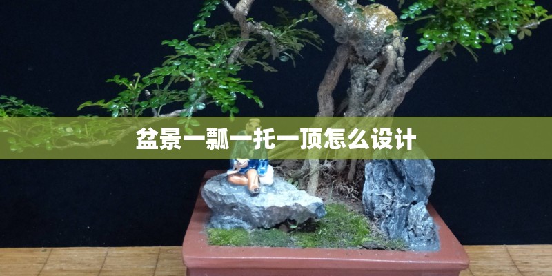 盆景一瓢一托一顶怎么设计