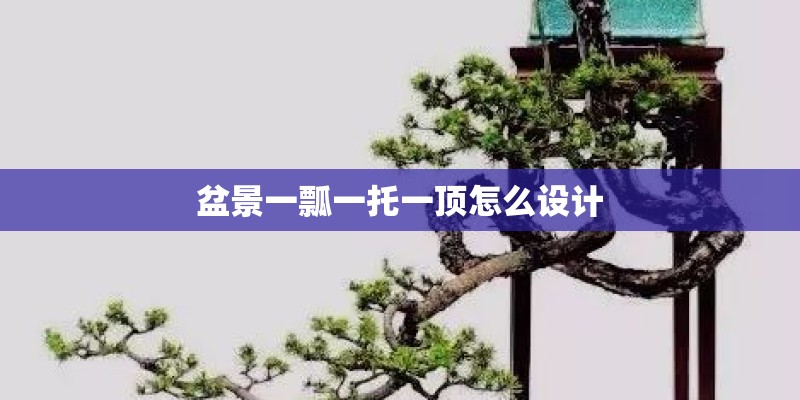 盆景一瓢一托一顶怎么设计