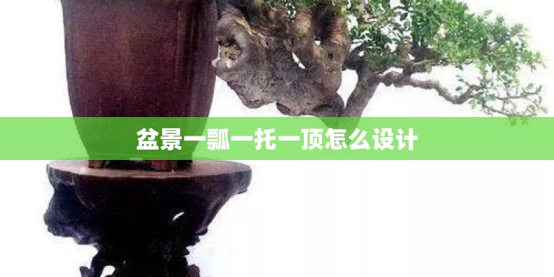 盆景一瓢一托一顶怎么设计