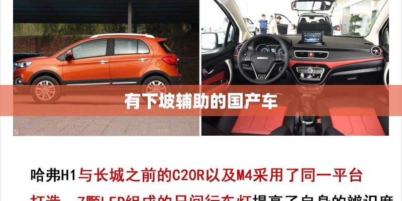 有下坡辅助的国产车