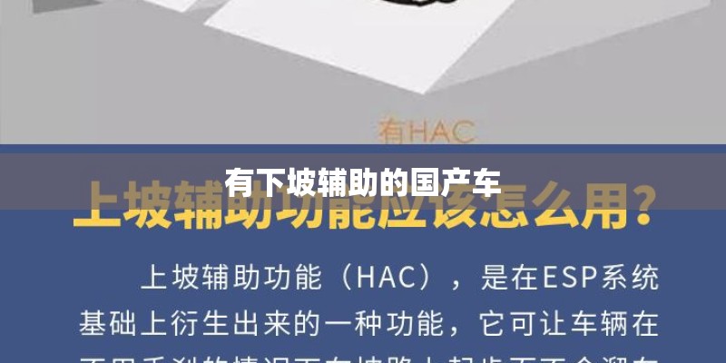 有下坡辅助的国产车