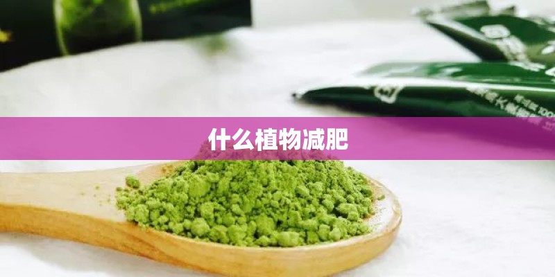 什么植物减肥 什么植物减肥