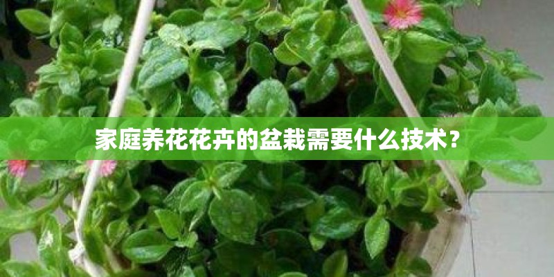 家庭养花花卉的盆栽需要什么技术？