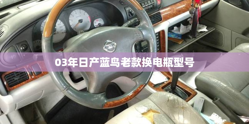 03年日产蓝鸟老款换电瓶型号