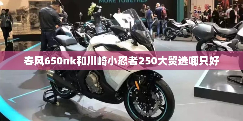 春风650nk和川崎小忍者250大贸选哪只好