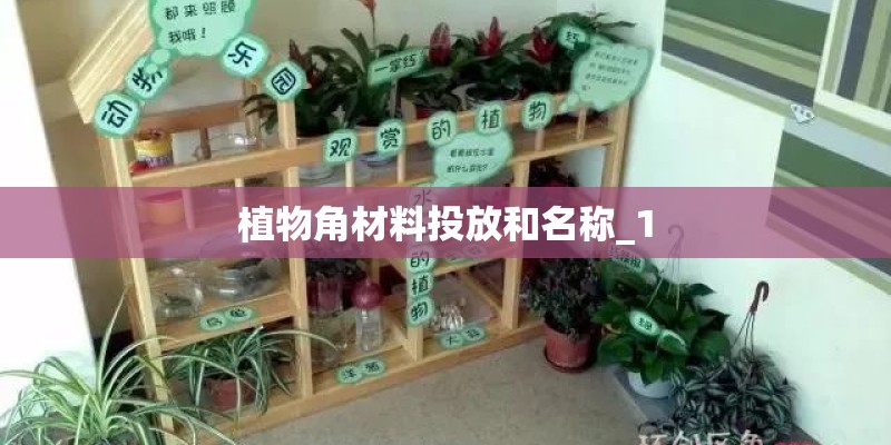 植物角材料投放和名称_1 植物角材料投放和名称_1