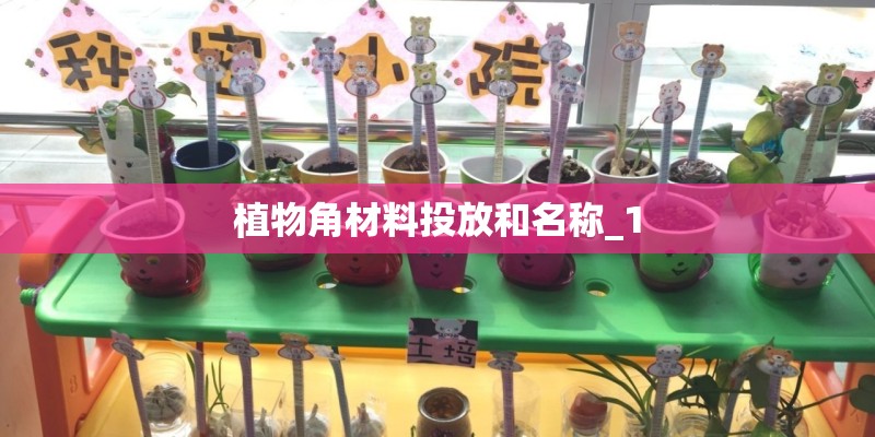 植物角材料投放和名称_1 植物角材料投放和名称_1
