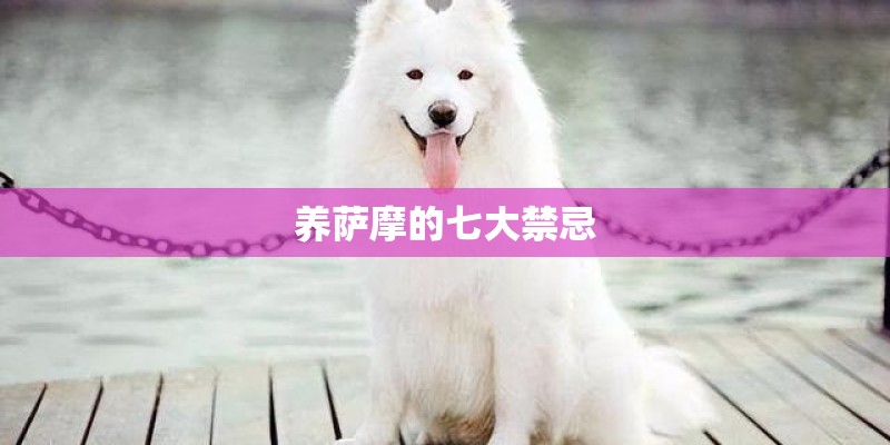 养萨摩的七大禁忌