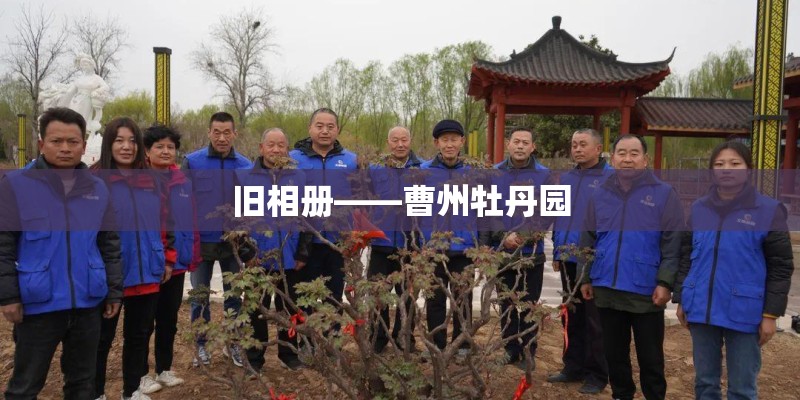 旧相册——曹州牡丹园 旧相册——曹州牡丹园
